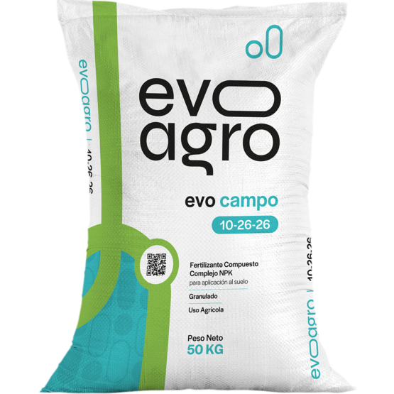 EVO CAMPO 10-26-26 