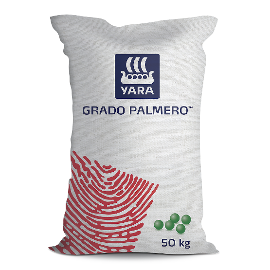 GRADO PALMERO
