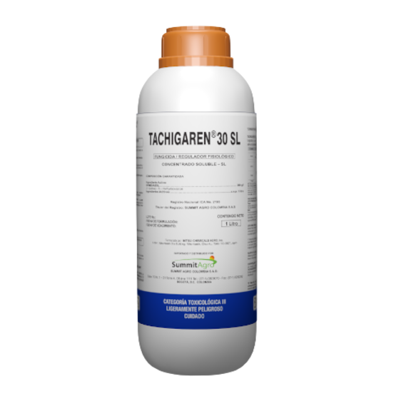 TACHIGAREN