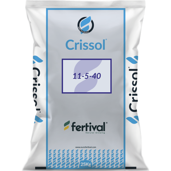 CRISSOL 11-5-40 